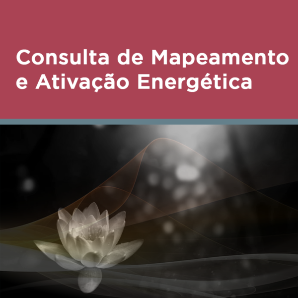 Consulta de Mapeamento e Ativação Energética